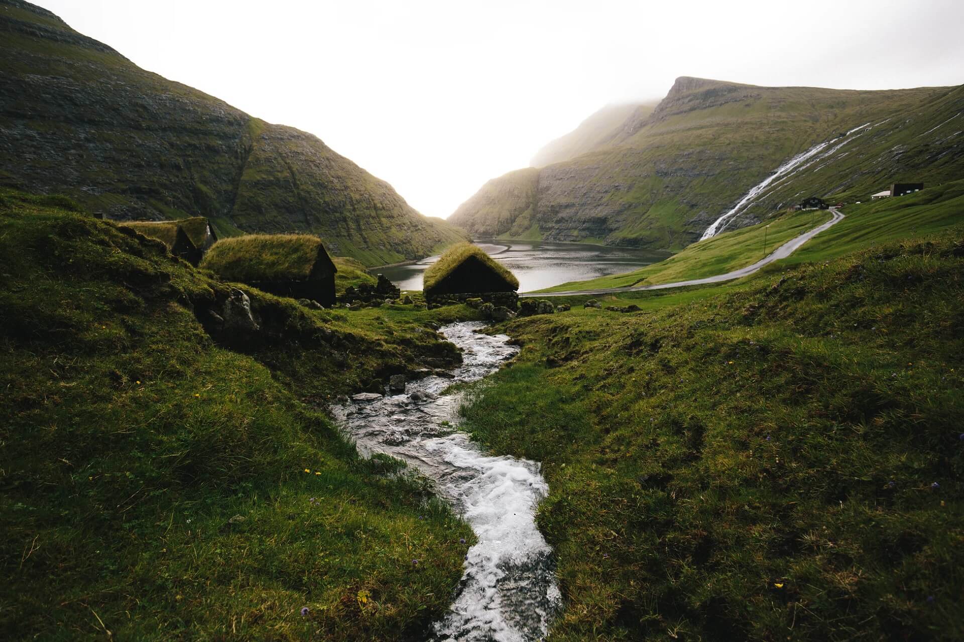  a small river  in a glen