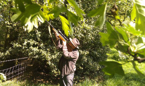 taking out the vermin  