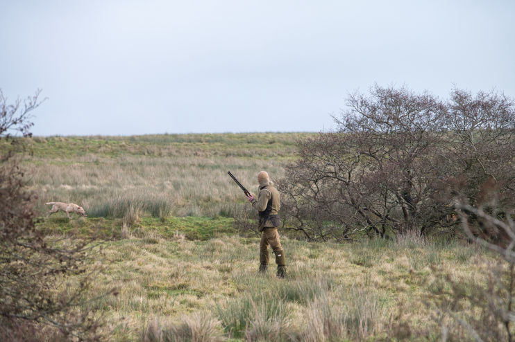 the whistle has been blown and the birds are flying while a young shooter waits patiently for the birds to come his way