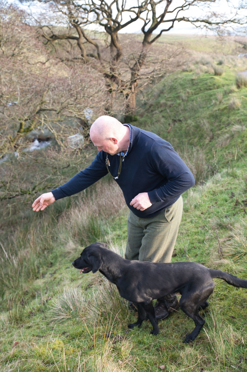 Man sending his dog for a retrieve at the end of the drive